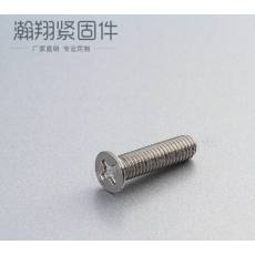 不銹鋼防盜螺絲、十字防盜螺絲