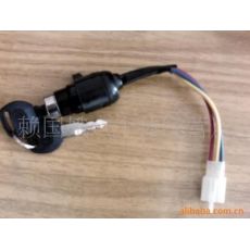 電動(dòng)車與電動(dòng)三輪車專用帶插件小頭電源鎖